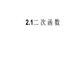 九年级数学下北师大2.1二 次 函 数 课件