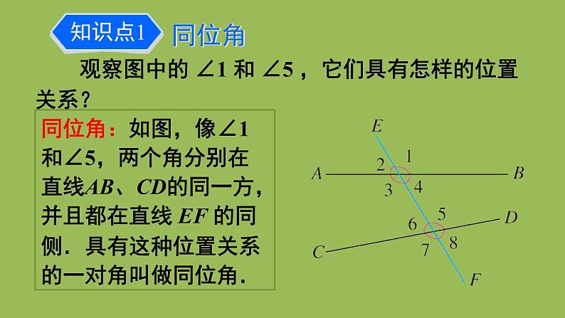 人教版七年级数学下册 第五章 相交线与平行线  5.1.3 同位角、内错角、同旁内角 课件07