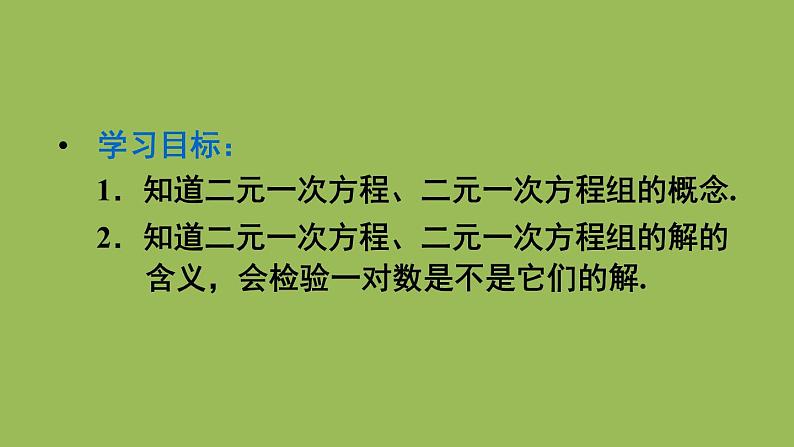 人教版七年级数学下册 第八章 二元一次方程组 8.1 二元一次方程组 课件03