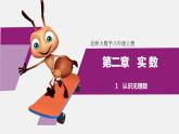 北師大版八年級數(shù)學(xué)上冊2.1  認(rèn)識無理數(shù) 課件 (共13張PPT)