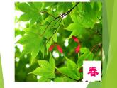 初中 / 數(shù)學(xué) / 北師大版 / 七年級下冊 / 第三章 變量之間的關(guān)系 / 1 用表格表示的變量間關(guān)系 七下3.1 課件