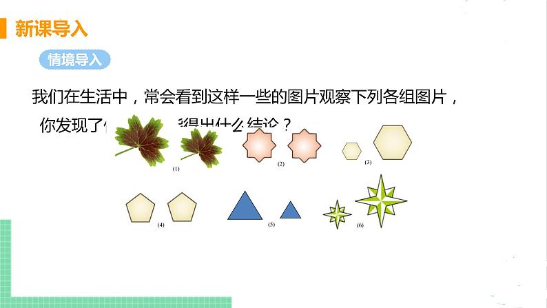 4.3相似多边形 课件PPT04