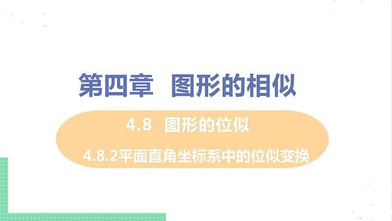 4.8 图形的位似 4.8.2平面直角坐标系中的位似变换 课件PPT01