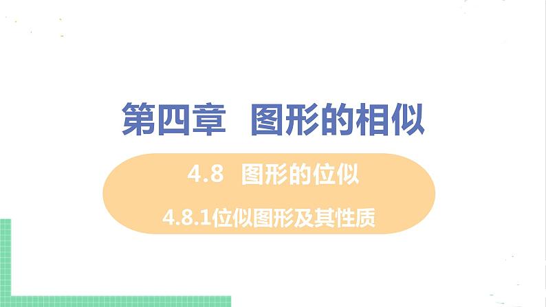 4.8 图形的位似 4.8.1位似图形及其性质 课件PPT01