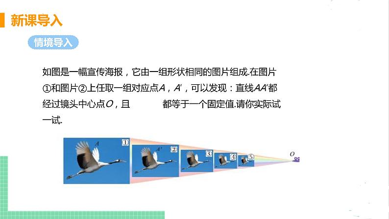 4.8 图形的位似 4.8.1位似图形及其性质 课件PPT05