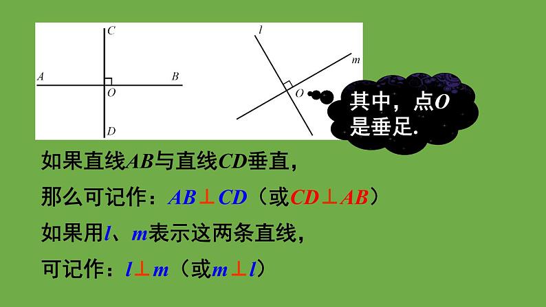 北师大版七年级数学下册 第二章 相交线与平行线 2.1.2垂线 课件PPT06