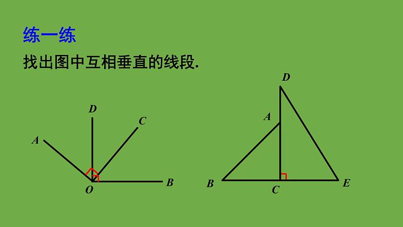 北师大版七年级数学下册 第二章 相交线与平行线 2.1.2垂线 课件PPT07