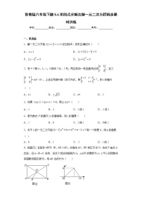 初中数学鲁教版 (五四制)八年级下册4 用分解因式法解一元二次方程精品课时训练