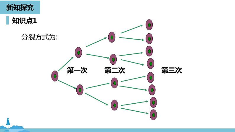第一章有理数 有理数的乘方课时1-数学人教七（上） 课件06