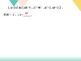 1.4　解直角三角形 课件