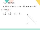 《直角三角形的边角关系》章末复习(一) 课件
