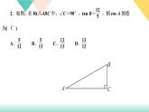 《直角三角形的边角关系》章末复习(一) 课件
