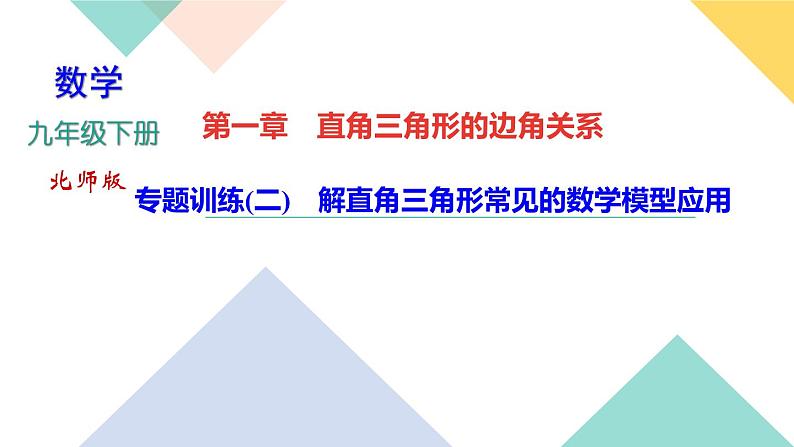 专题训练(二)　解直角三角形常见的数学模型应用01