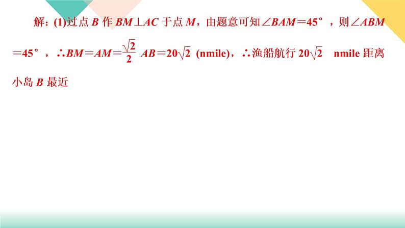 专题训练(二)　解直角三角形常见的数学模型应用06