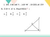 专题训练(一)　求锐角三角函数的方法归类