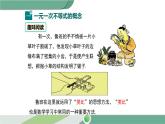 华师大版数学七年级下册 8.2.3 第1课时 解一元一次不等式 课件