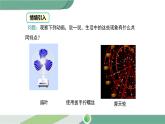 华师大版数学七年级下册 10.3.1  图形的旋转 课件