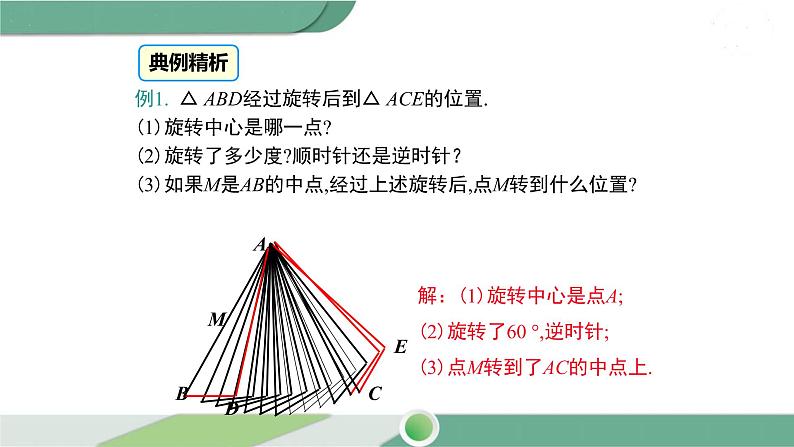 华师大版数学七年级下册 10.3.2  旋转的特征 课件05