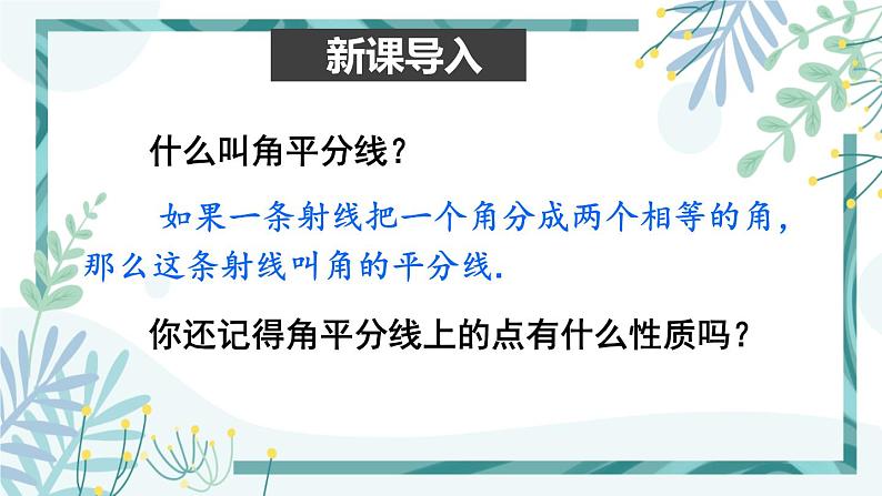 北师大版八年级数学下册 第一章 第四节 角平分线 1.4.1角平分线的性质与判定 课件02