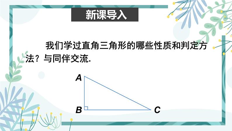 北师大版八年级数学下册 第一章 第二节 直角三角形 1.2.1勾股定理及其逆定理 课件02