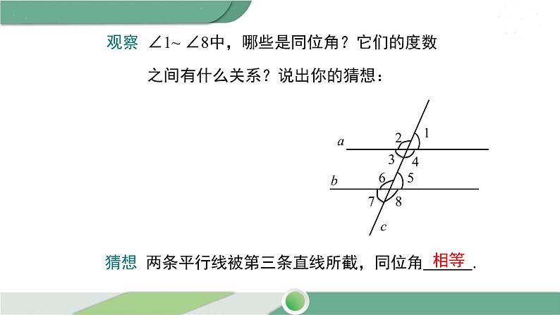 湘教版数学七年级下册 4.3 平行线的性质 课件PPT05