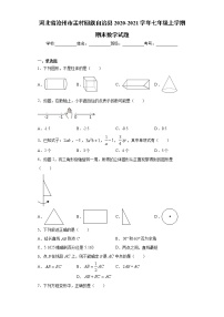 河北省沧州市孟村回族自治县2020-2021学年七年级上学期期末数学试题（word版 含答案）