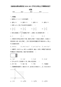 安徽省合肥市肥西县2020-2021学年九年级上学期期末数学试题（word版 含答案）