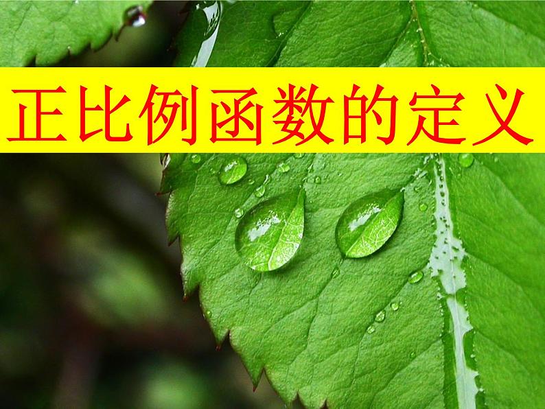 课件 正比例函数的定义第1页