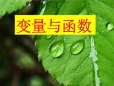 课件 变量和函数