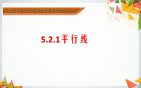 初中数学人教版七年级下册5.2.1 平行线教学课件ppt