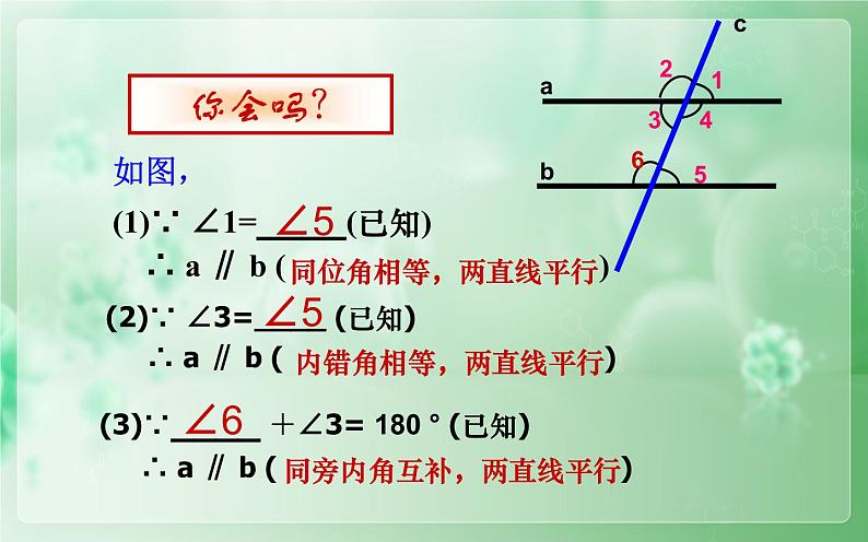 人教版5.3.1平行线的性质 公开课一等奖课件02