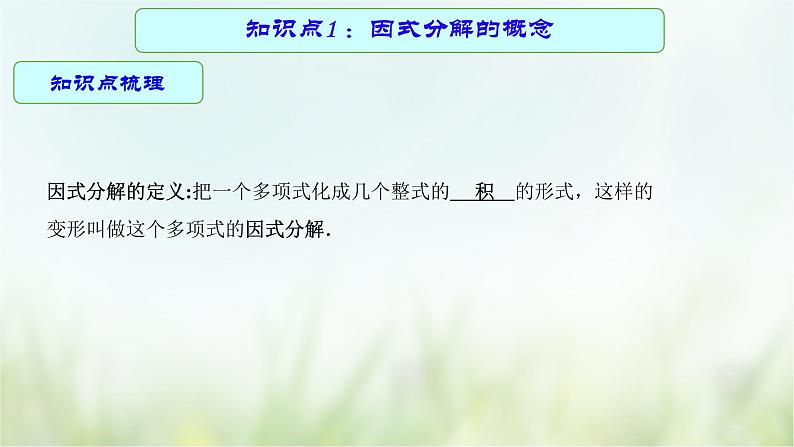 专题03 因式分解-2021年中考数学二轮复习专题 学案+课件04