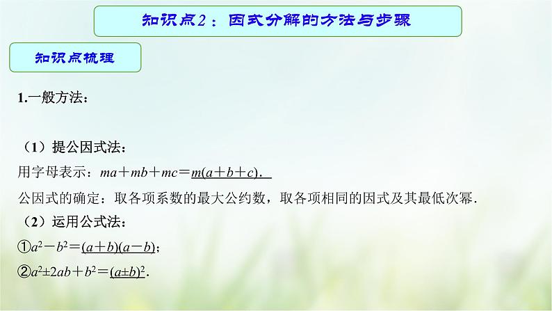 专题03 因式分解-2021年中考数学二轮复习专题 学案+课件08