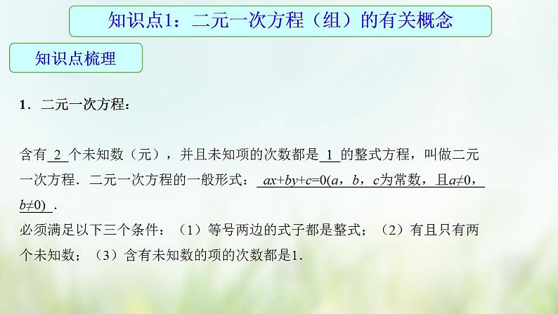 专题07 二元一次方程组-2021年中考数学二轮复习专题 学案+课件04