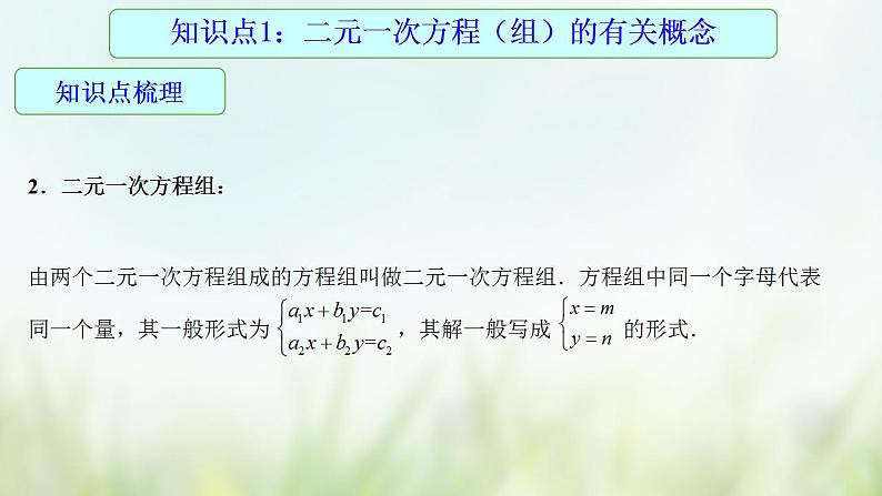 专题07 二元一次方程组-2021年中考数学二轮复习专题 学案+课件05