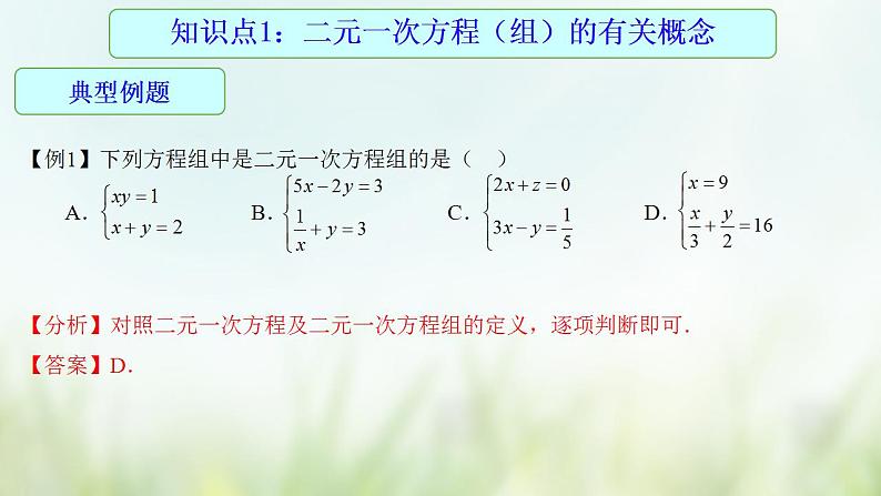 专题07 二元一次方程组-2021年中考数学二轮复习专题 学案+课件07