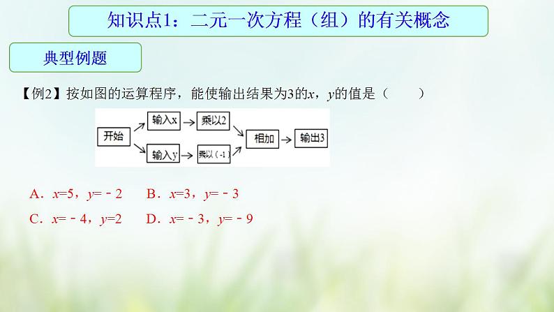 专题07 二元一次方程组-2021年中考数学二轮复习专题 学案+课件08