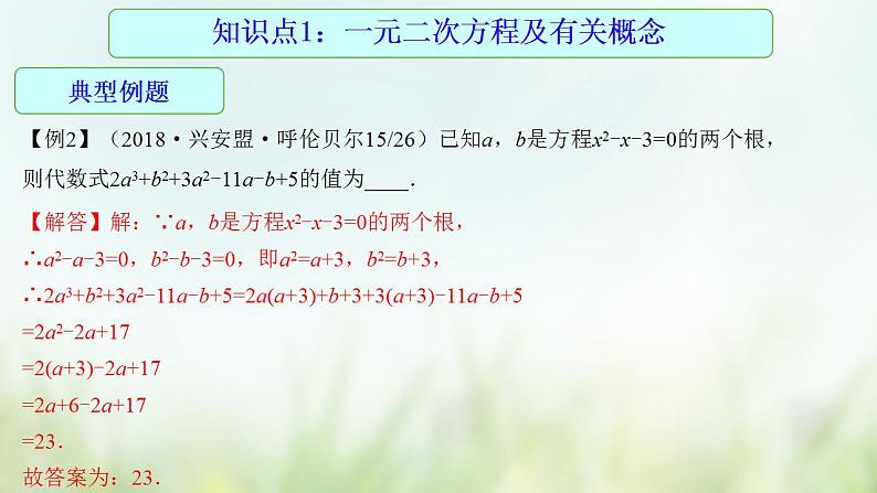 专题08 一元二次方程-2021年中考数学二轮复习专题 学案+课件08