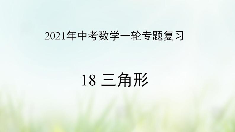 专题18 三角形-2021年中考数学二轮复习专题 学案+课件01