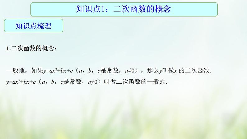 专题16 二次函数及其应用-2021年中考数学二轮复习专题 学案+课件04