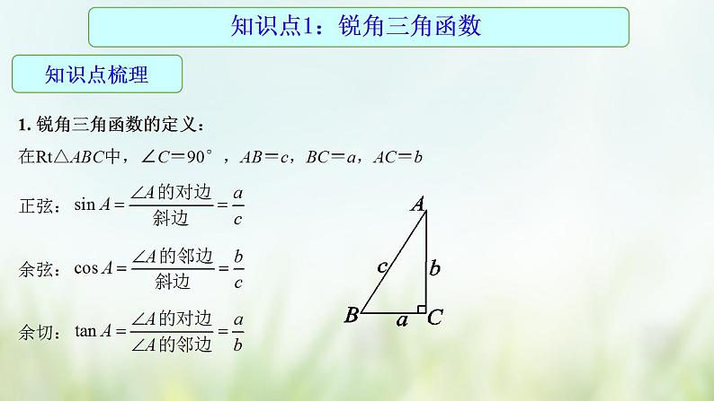 专题22 锐角三角函数-2021年中考数学二轮复习专题 学案+课件03