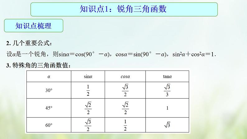 专题22 锐角三角函数-2021年中考数学二轮复习专题 学案+课件04