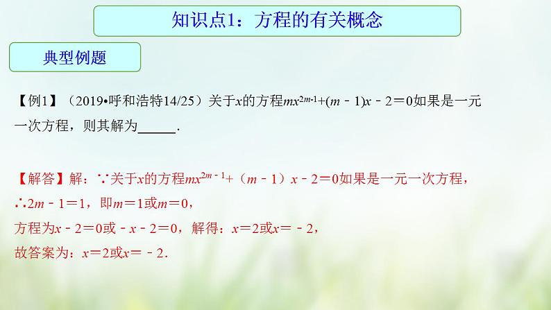 专题06 一元一次方程-2021年中考数学二轮复习专题 学案+课件06