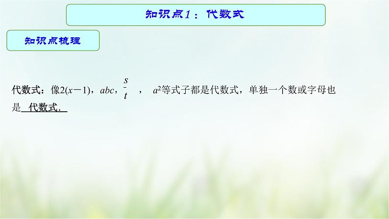 专题02 代数式与整式-2021年中考数学二轮复习专题 学案+课件04