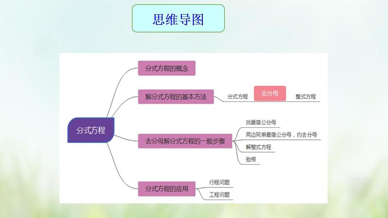 专题09 分式方程-2021年中考数学二轮复习专题 学案+课件03