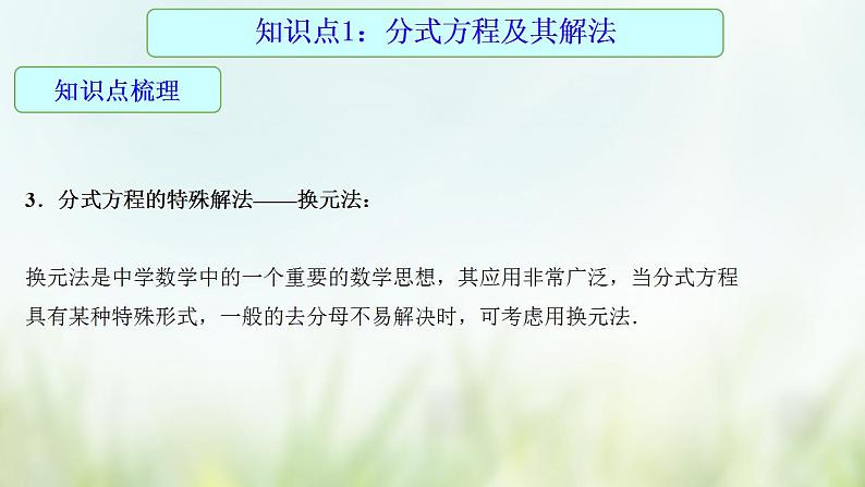 专题09 分式方程-2021年中考数学二轮复习专题 学案+课件06