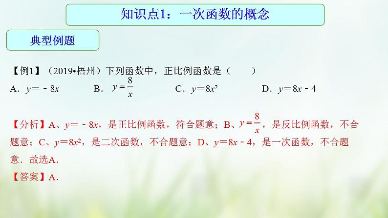 专题13 一次函数的图象及其性质-2021年中考数学二轮复习专题 学案+课件06