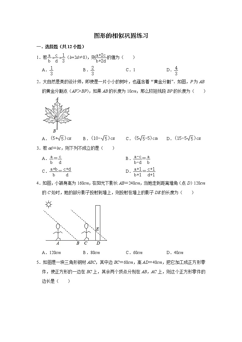 试卷 第9讲 图形的相似（含解析）-2021年九年级中考数学一轮复习专题训练（浙教版）01