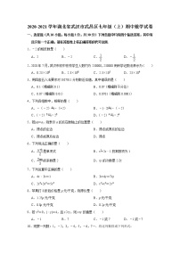 试卷 2020-2021学年湖北省武汉市武昌区七年级上学期期中数学试卷（word版 含答案）