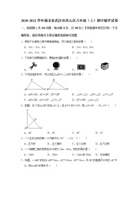 试卷 湖北省武汉市洪山区2020-2021学年八年级上学期期中考试数学试卷（word版 含答案）